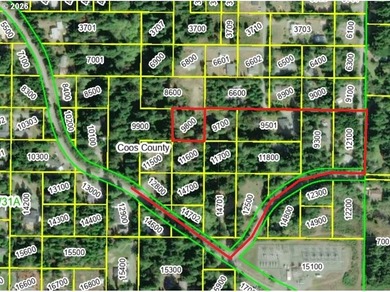 FORESTED .62 ACRE. Map shows 2 creeks! Road not in. Developed - photo 4