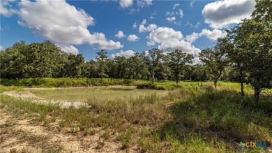 (private lake, pond, creek) Acreage For Sale in Refugio Texas