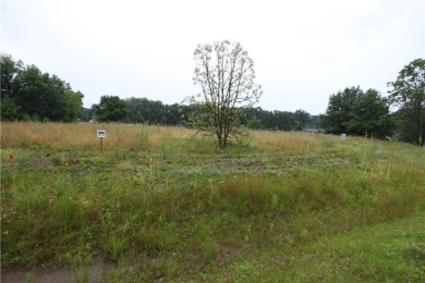 Lake Lot For Sale in Chippewa Falls, Wisconsin