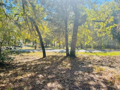 Lake Lot Off Market in Enchanted Oaks, Texas