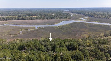 (private lake, pond, coastal) Lot For Sale in Yemassee South Carolina