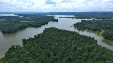 Weiss Lake Acreage For Sale in Cedar Bluff Alabama