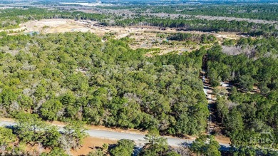 Exceptional development opportunity on a magnificent 300-acre - photo 11