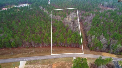 2 acres building lot inside the gated community called The Woods - photo 11