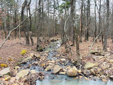 Incredible opportunity to own a 2.6 acre vacant lot with - photo 11