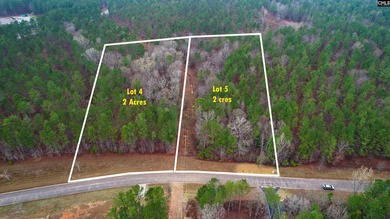 2 acres building lot inside the gated community called The Woods - photo 12