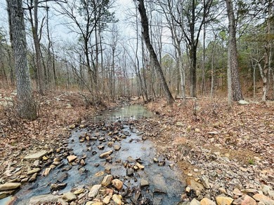 Incredible opportunity to own a 2.6 acre vacant lot with - photo 12