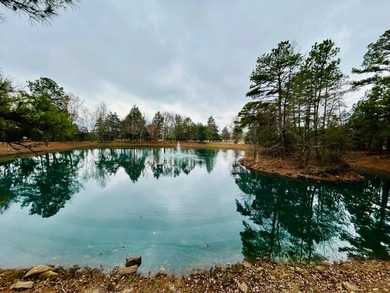 Incredible opportunity to own a 2.6 acre vacant lot with - photo 15