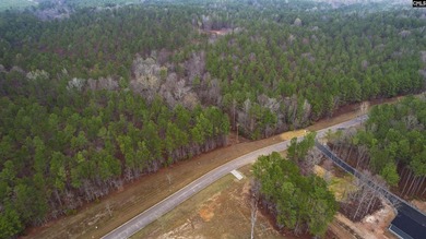 2 acres building lot inside the gated community called The Woods - photo 18