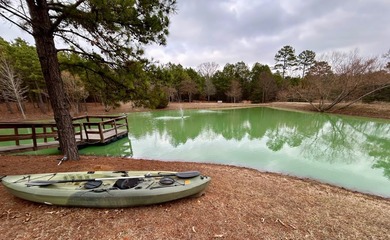 Incredible opportunity to own a 2.6 acre vacant lot with - photo 19