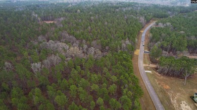 2 acres building lot inside the gated community called The Woods - photo 20