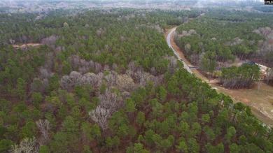 2 acres building lot inside the gated community called The Woods - photo 21
