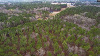 2 acres building lot inside the gated community called The Woods - photo 25
