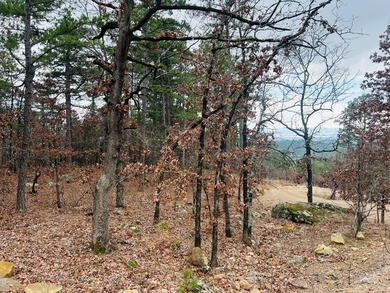 Incredible opportunity to own a 2.6 acre vacant lot with - photo 28