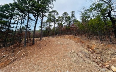 Incredible opportunity to own a 2.6 acre vacant lot with - photo 29