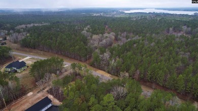 2 acres building lot inside the gated community called The Woods - photo 30