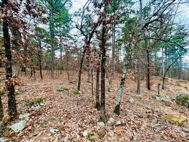 Incredible opportunity to own a 2.6 acre vacant lot with - photo 30