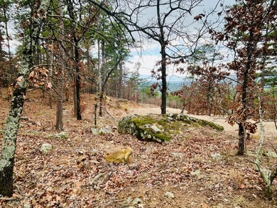 Incredible opportunity to own a 2.6 acre vacant lot with - photo 31