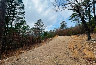 Incredible opportunity to own a 2.6 acre vacant lot with - photo 32