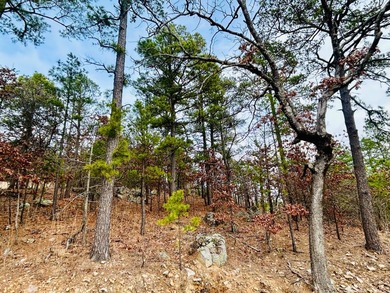 Incredible opportunity to own a 2.6 acre vacant lot with - photo 33