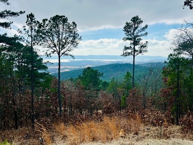 Incredible opportunity to own a 2.6 acre vacant lot with - photo 34