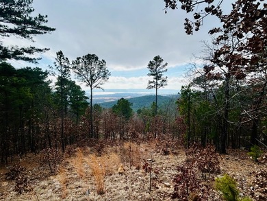 Incredible opportunity to own a 2.6 acre vacant lot with - photo 36