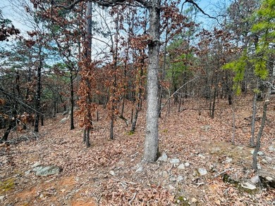 Incredible opportunity to own a 2.6 acre vacant lot with - photo 37