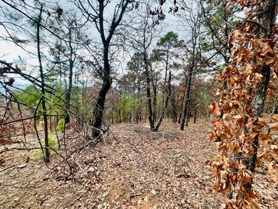 Incredible opportunity to own a 2.6 acre vacant lot with - photo 39