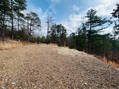 Incredible opportunity to own a 2.6 acre vacant lot with - photo 40