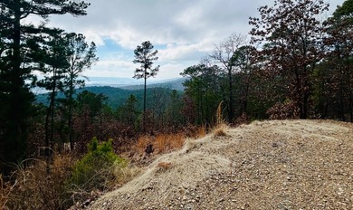 Incredible opportunity to own a 2.6 acre vacant lot with - photo 41
