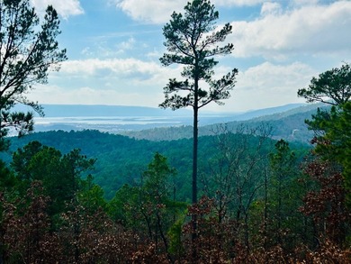 Incredible opportunity to own a 2.6 acre vacant lot with - photo 42