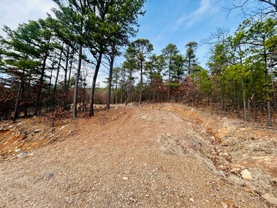 Incredible opportunity to own a 2.6 acre vacant lot with - photo 43
