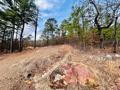 Incredible opportunity to own a 2.6 acre vacant lot with - photo 44