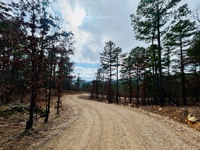 Incredible opportunity to own a 2.6 acre vacant lot with - photo 45