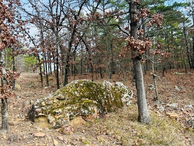 Incredible opportunity to own a 2.6 acre vacant lot with - photo 46