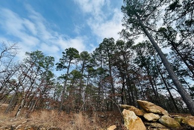Incredible opportunity to own a 2.6 acre vacant lot with - photo 47