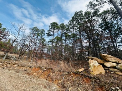 Incredible opportunity to own a 2.6 acre vacant lot with - photo 48
