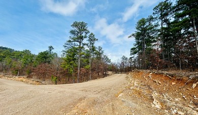 Incredible opportunity to own a 2.6 acre vacant lot with - photo 49