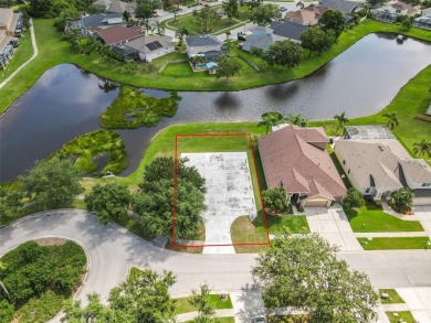 Lake Lot For Sale in Riverview, Florida
