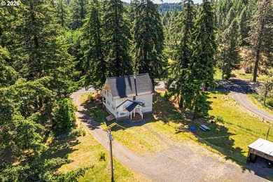 Absolutely charming 1910 Craftsman farmhouse - calling all - photo 2