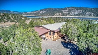 Navajo Reservoir Home For Sale in Arboles Colorado