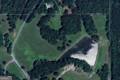 Lake Acreage For Sale in Dallas, Georgia