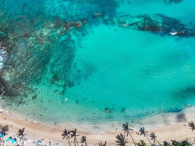 Welcome to Kapalua Farms, a remarkable opportunity to own over - photo 11