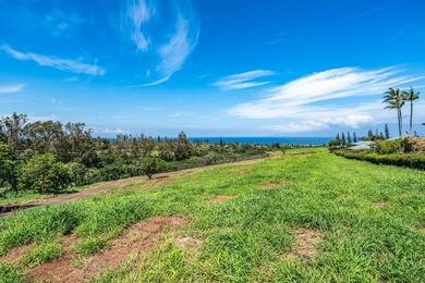 Welcome to Kapalua Farms, a remarkable opportunity to own over - photo 15