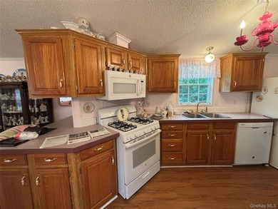 55+ Manufactured Home Land Lease Community Glenwood Village - photo 16