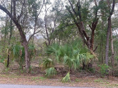 Lake Lot For Sale in Dunnellon, Florida