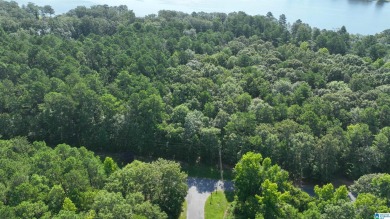 Lake Lot For Sale in Sylacauga, Alabama