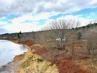 Nearly 4 Acres with Delaware River Frontage - photo 10