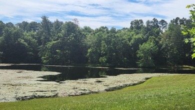 (private lake, pond, creek) Acreage For Sale in Pikeville Tennessee