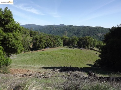 Wine Country Ranch for sale. 664 acres in 3 parcels of beautiful - photo 2